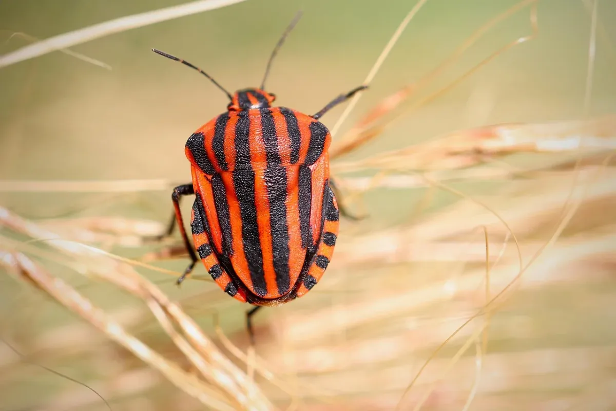 Puste pole do zaznaczenia na dokumencie leżącym na biurku, symbolizujące potrzebę uzupełnienia listy o brakujące osoby.